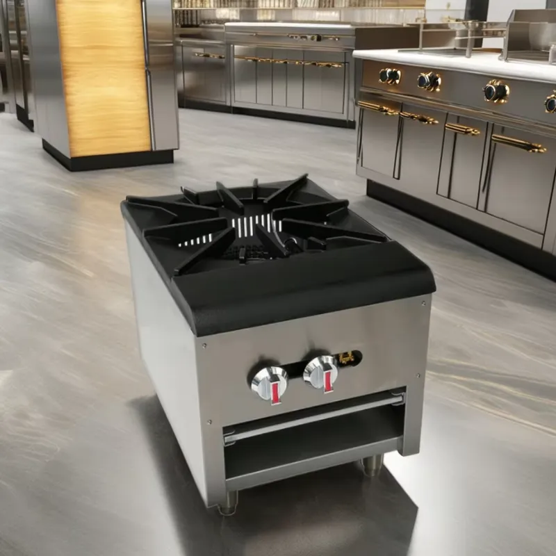 قدر طهي غازي من الفولاذ المقاو - مراجعة Commercial Kitchen Boiler وسعره